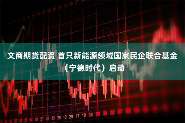 文商期货配资 首只新能源领域国家民企联合基金（宁德时代）启动