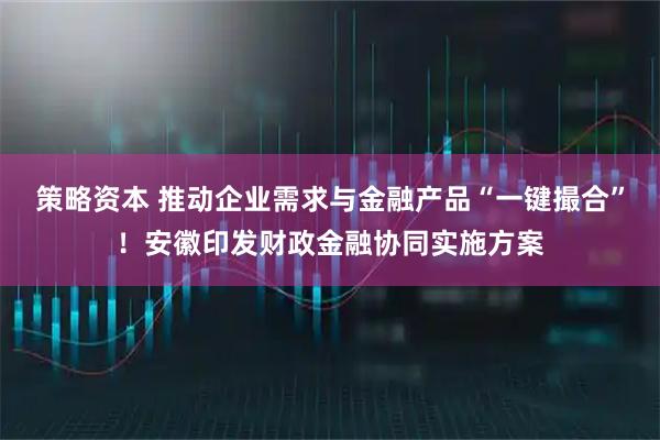 策略资本 推动企业需求与金融产品“一键撮合”！安徽印发财政金融协同实施方案