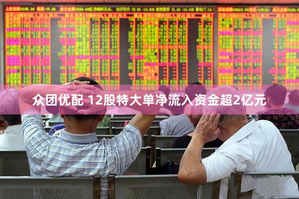 众团优配 12股特大单净流入资金超2亿元